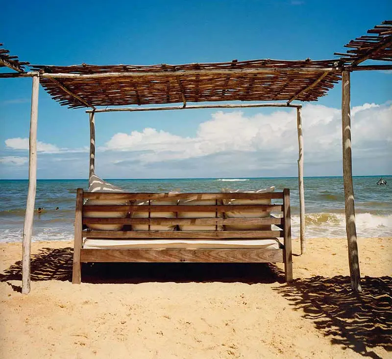 15694498021539098966dia9 copiar