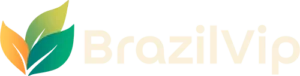 Logo BrazilVIP - Viagens sob medida e pacotes exclusivos