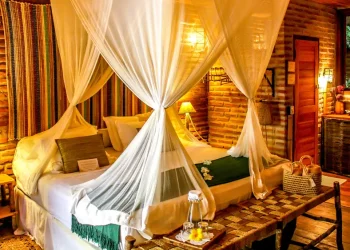 1637862257vilakalango copiar